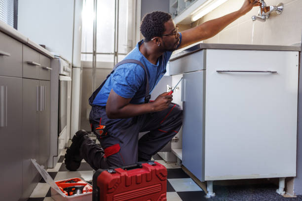 Best Commercial Plumbing Services  in Chetek, WI